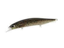 REALIS Jerkbait 120SP Pike Limited CCC3815 Brown Trout ND